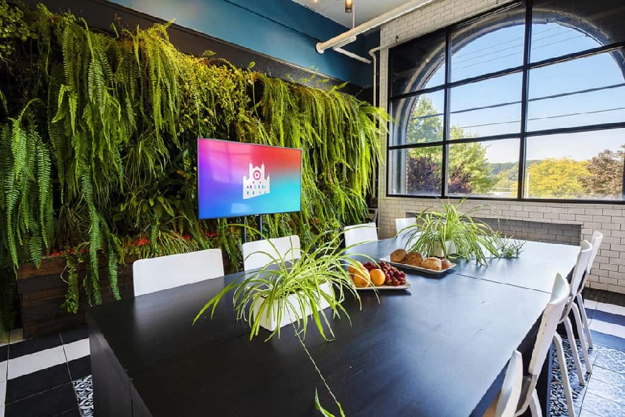 Plants for office. Should you rent or buy?