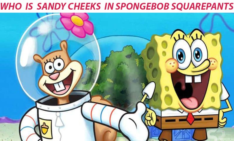Who is sandy cheeks in SpongeBob SquarePants