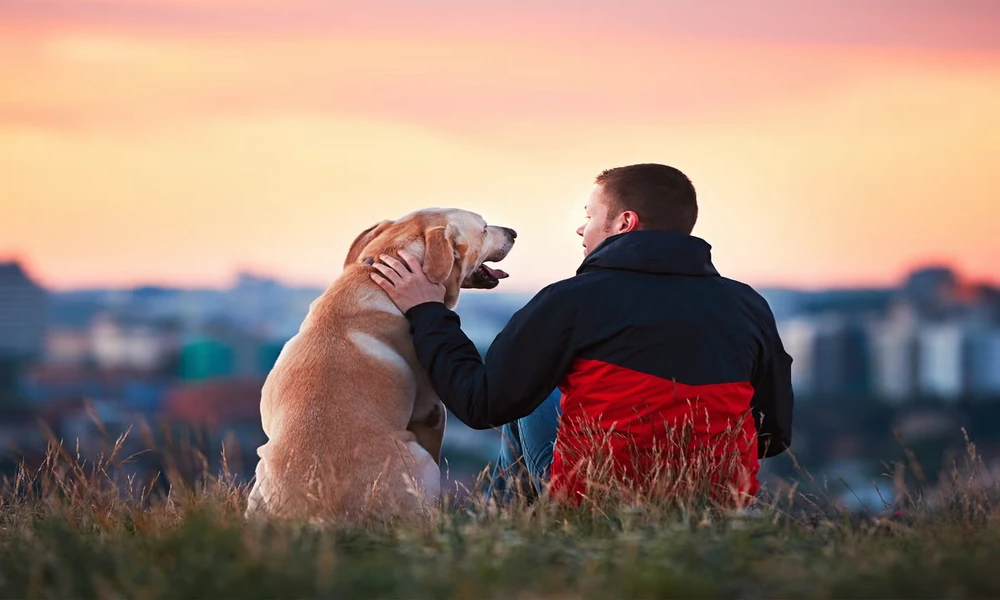 3 Signs It’s Time To Visit a General Veterinarian