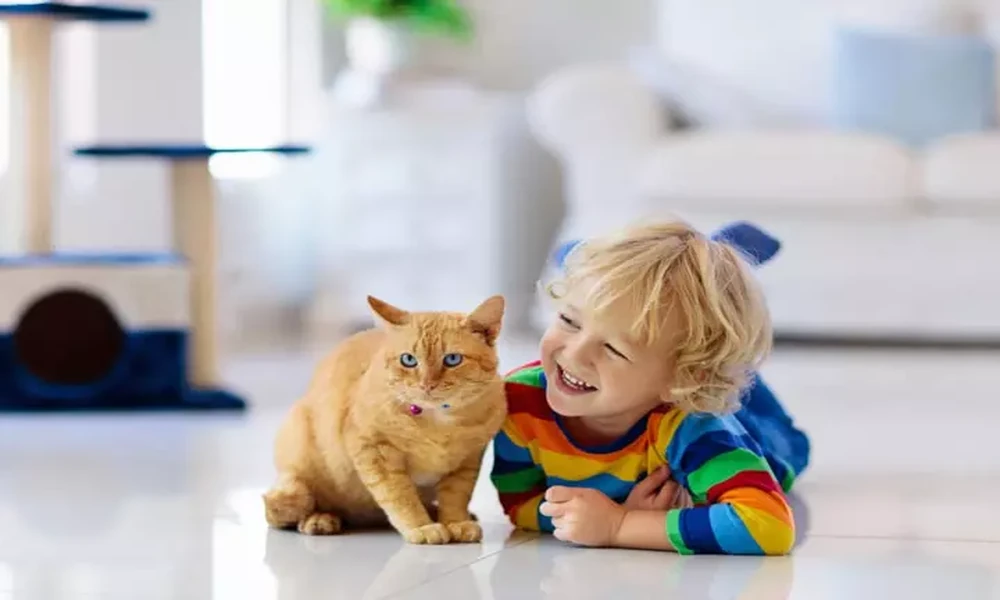 3 Ways General Veterinarians Support Puppy And Kitten Care